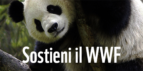 Sostieni il WWF